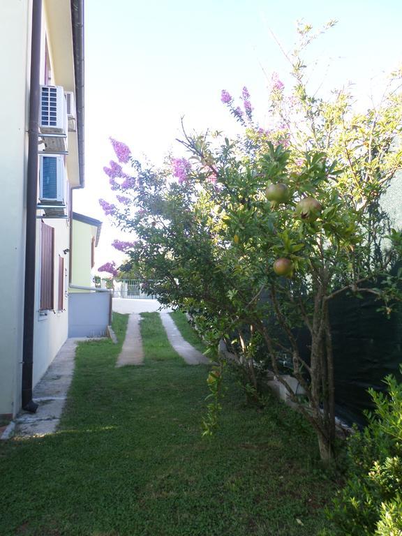 Apartment Jana Štinjan Εξωτερικό φωτογραφία